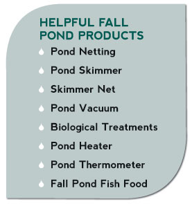 Helpful Fall Pond Products